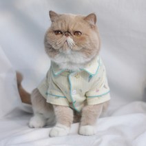 카르노 반려동물 패턴라인 반려동물 파자마, 그린