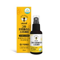비웰 그린 프로폴리스 스프레이, 30ml, 1개