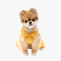 이츠독 강아지 플러피 벨보아 올인원, 머스타드