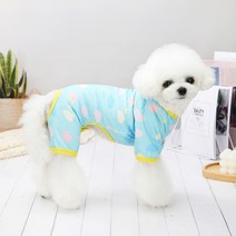 ING 반려동물 클라우드 내복 올인원, 스카이