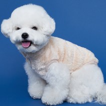 도그아이 강아지 보아 후리스, 아이보리
