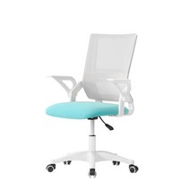 다니카 팔걸이 접이식 화이트 메쉬의자 GM-127W, 민트