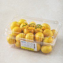 탐라황감 꼬마감귤, 1.2kg, 1팩