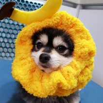 도그맘 반려동물 뽀글이워머, 바나나