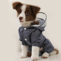 더리얼미 강아지 레인코트, 블루