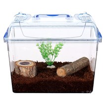 곤충 사육세트 산란용 중, 1세트