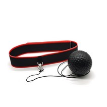 피티즘 복싱 TAP 볼 세트