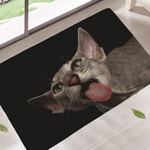 소중히 아껴줄 개냥이 초상화 욕실 현관 주방 발매트, 06