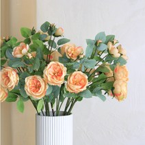 민성컴퍼니 조화 오스틴 장미 꽃다발 3p, 샴페인