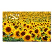 홈마인 캔버스 프린팅 액자 시리즈 LED 시계 해바라기 풍경 800 x 500 mm, 4