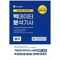 2021 빅데이터분석기사 실기, 와이즈인컴퍼니