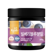 토종마을 빌베리 블루분말, 1개, 200g