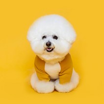 플로트 강아지 베이직 마카롱 티셔츠, 옐로우