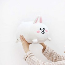 브라운앤프렌즈 포근쿠션, 코니