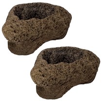 아쿠아테라 화산석 수초 앤 다육화분 중형 랜덤발송, 2개