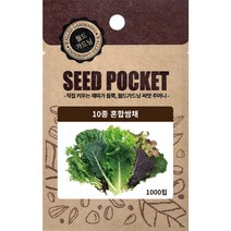 월드가드닝 정원 텃밭 좋은 씨앗 10종 혼합쌈채, 1개