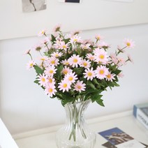 하루의공간 조화 데이지 꽃 2p, 핑크