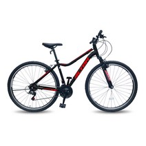 알톤스포츠 2022 인투스 29 MTB자전거 미조립, 블랙, 178cm