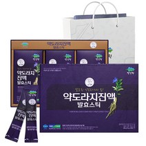 인차 약도라지 진액 발효스틱 30p + 쇼핑백, 1개, 300g