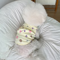 바이담수미 강아지 푸들토토끼 나시, 옐로우