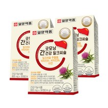 일양약품 굿모닝 간건강 밀크씨슬 24g, 3개