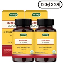 자생 커큐민 앤 바이오페린, 120정, 2개