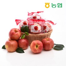 [자연맛남] 동안동농협 햇 세척사과 3kg (16과내), 단품
