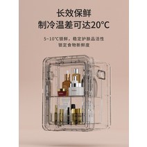 소형냉동고 서랍형냉동고 미니 음식물 가정용 Xinfei 12L 자동차 냉장고 소형 렌탈 시스템 냉장 기숙사 침실 화장품 싱글, [08] 12L 커피 골드/조명/화장품 거울/페인트