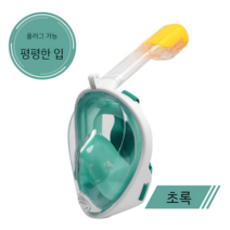 스노쿨링 장비 아이들 어린이 물놀이 해외 제주도 필수품, 9 그린남성 XL