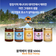 (블랙베어) 캐나다 온타리오 프리미엄 허니 생꿀 500g, 메밀꿀 유리병(500g)