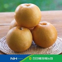 햇살담은 천안배(알뜰가정용) 5kg+5kg, 단일옵션
