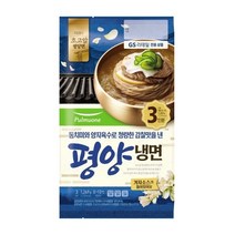 풀무원 평양 물냉면 3인기획 1269G (보냉백/아이스박스中택1), 옵션1 - 보냉백포장 (보냉백+아이스팩)