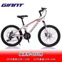 GIANT 자이언트 산악자전거 도로 알루미늄 합금 충격 흡수 JAVA 사바 트위터 자전거 SAVA 자바, 20인치, 24속도화이트레드색