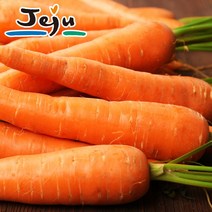 국산 제주 구좌 당근 제주도 흙당근 야채 가정용 조리용 쥬스용 즙용 중 대 특 3kg 5kg, 6. 흙당근 특 5kg (200~340g)