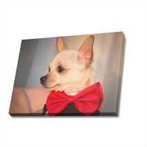 귀여운 강아지 사진 캔버스액자 (고객님 강아지 사진으로도 제작 가능합니다), DOG25