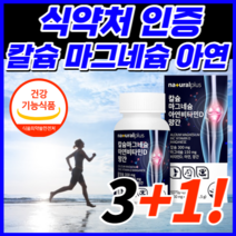 [식약처 인증 대용량] 흡수율 좋은 마그네슘 다리 근육 종아리 손 팔 발 저림 근육통 쥐 날때 먹는 눈 눈밑 한쪽 눈꺼풀 떨림 신경 에 좋은 영양제 보충제 +알 약 케이스, [SALE] 12개월 / 4개