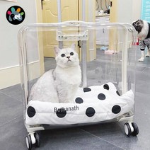 고양이 이동장 가방 반려묘 캐리어 유모차 냥모차 우주선 산책 소형견, 아이보리 화이트 슈프림