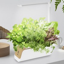 가정용 LED 조명등 스마트 꽃 식물재배기 1p 야채 탁상용 상추 채소 깻잎 배양기 키우기