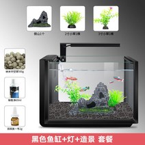 관상어 가정용 어항 수족관 수조 생물 해수 조경 니모 물고기 구피 키우기 핑크벨리사이드넥 2자광폭 4자 버들붕어 30큐브 백운산 해수어 3자, G