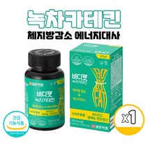 식약처인증 녹차 카테킨 다이어트 녹차추출물 비타민C 판토텐산 셀레늄 함유 체지방감소도움, 56정(4주분) X 1개