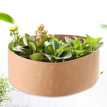 특수 부직포 블루베리 화분 플랜트 박스 대형 베이지 집에서 상추 키우기 감자 고구마 딸기 포토 재배 통 넓은 빈화분 수입 베란다 텃밭 실내 화단 둥근 옥상 테라스 홈가드닝
