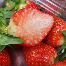 맛가득 설향딸기 250g 500g 1Kg 2Kg 킹스베리 장희 죽향딸기 산딸기 금실 딸기, 설향딸기 최상품 500g 2팩