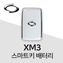 XM3 스마트키 건전지 차키 배터리 밧데리 약, 10개