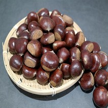 햇밤 달달한 삼조생 밤 알밤 대 1kg 칼집없음