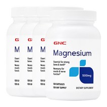 지앤씨 마그네슘 500mg 120캡슐 x4, 4개