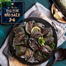 [살맛나는 BIG SALE] 완도3대 영진수산 완도 활전복/1kg (산지직송 산소포장), 1box, 영진수산-실속형_완도 활전복 13-14미/1kg