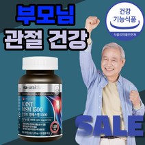식 약 처 인증 네추럴 플러스 캐나다산 조인트 MSM 엠에스엠 식이유황 1375 mg 관절 연골 허리 무릎 어깨 건강 기능 식품 여성 남성 갱년기 중년 노인 부모님 50대 60대, 120정(2개월)