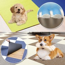 매트 카펫 고양이 미끄럼방지 강아지카페트 슬개골탈구 캣 타워 애견매트 스크래쳐 홈스월드, 05. JHT-012 (진그레이)