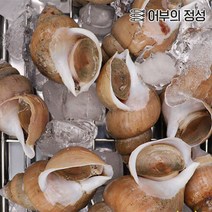 [어부의정성] 백고동 (소) 2kg, 자숙, 자숙