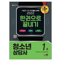 [시대고시기획]2023 청소년상담사 1급 한권으로 끝내기, 단품